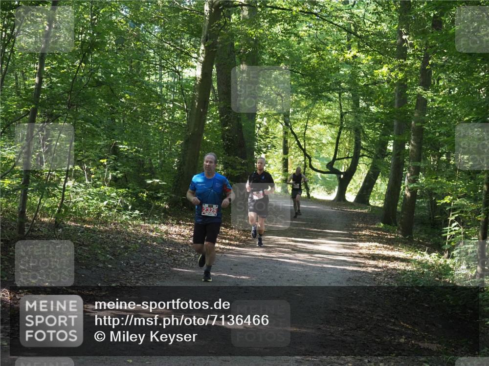 22.09.2024 - 32. Volkslauf durch das schöne Alstertal Miley Keyser http://msf.ph/oto/7136466 22.09.2024 10:39:31 Laufen 2325 meine-sportfotos.de