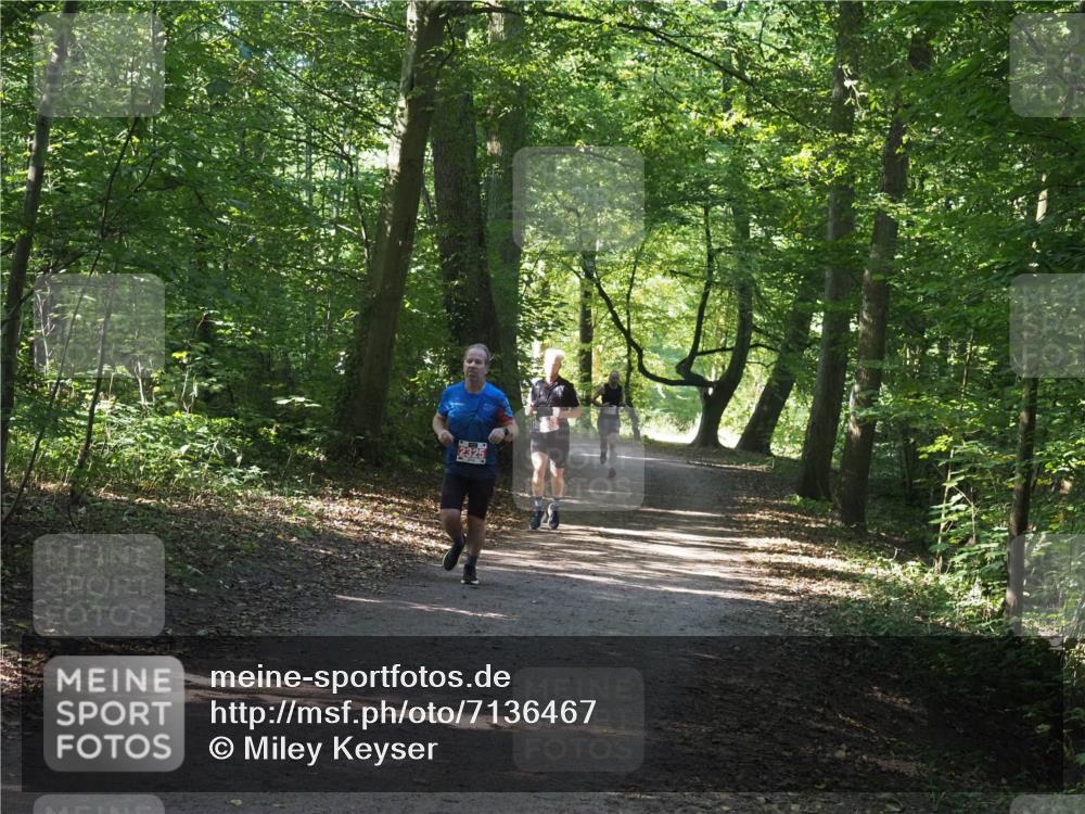 22.09.2024 - 32. Volkslauf durch das schöne Alstertal Miley Keyser http://msf.ph/oto/7136467 22.09.2024 10:39:31 Laufen  meine-sportfotos.de