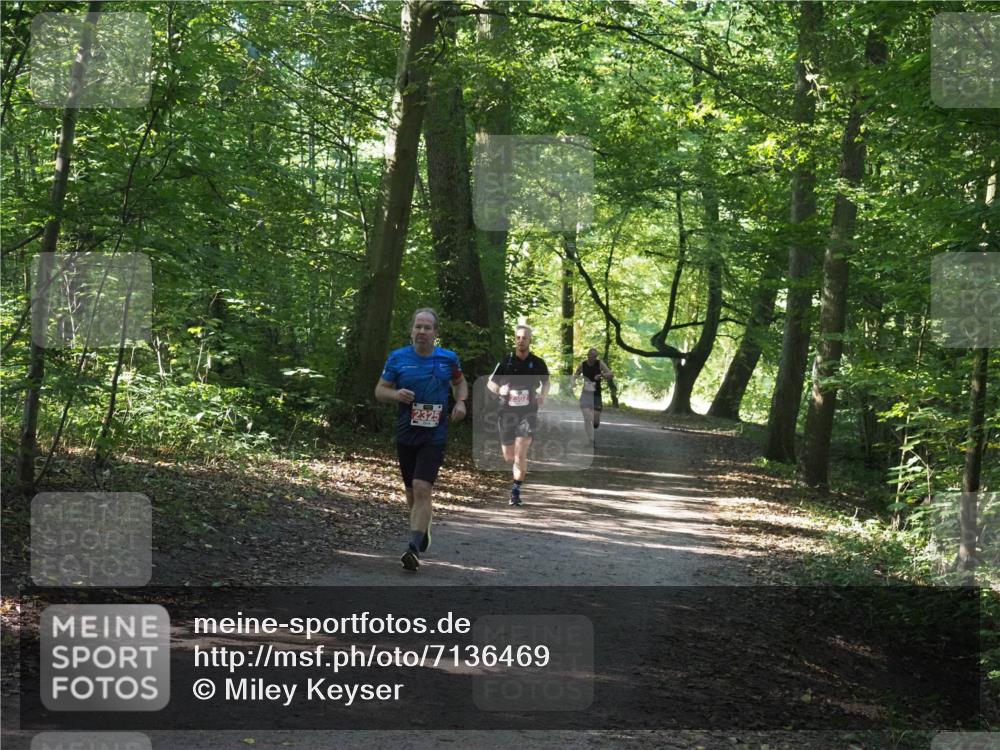 22.09.2024 - 32. Volkslauf durch das schöne Alstertal Miley Keyser http://msf.ph/oto/7136469 22.09.2024 10:39:31 Laufen  meine-sportfotos.de