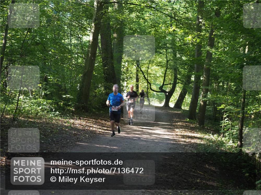 22.09.2024 - 32. Volkslauf durch das schöne Alstertal Miley Keyser http://msf.ph/oto/7136472 22.09.2024 10:39:30 Laufen  meine-sportfotos.de