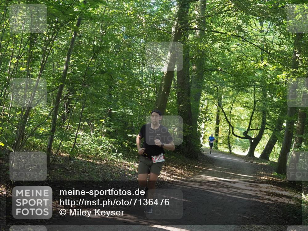 22.09.2024 - 32. Volkslauf durch das schöne Alstertal Miley Keyser http://msf.ph/oto/7136476 22.09.2024 10:39:21 Laufen 2500 meine-sportfotos.de