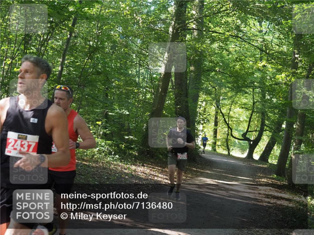 22.09.2024 - 32. Volkslauf durch das schöne Alstertal Miley Keyser http://msf.ph/oto/7136480 22.09.2024 10:39:20 Laufen 2437, 2500 meine-sportfotos.de