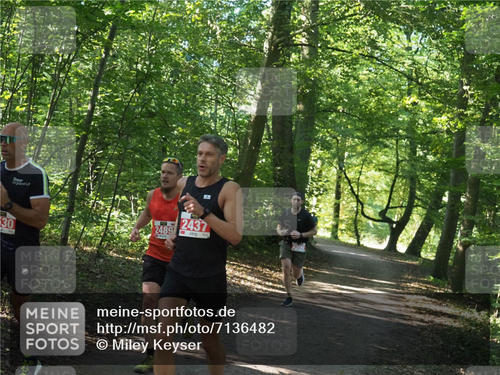 22.09.2024 - 32. Volkslauf durch das schöne Alstertal Miley Keyser http://msf.ph/oto/7136482 22.09.2024 10:39:19 Laufen 30, 2489, 2437 meine-sportfotos.de