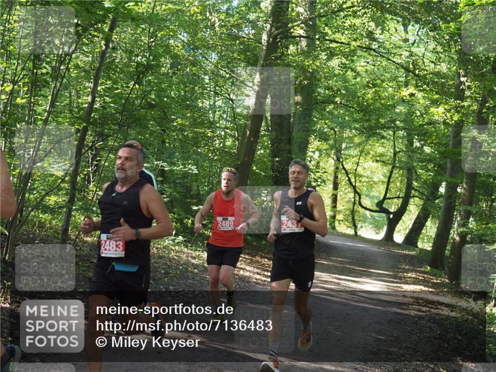 22.09.2024 - 32. Volkslauf durch das schöne Alstertal Miley Keyser http://msf.ph/oto/7136483 22.09.2024 10:39:19 Laufen 2483, 2489, 243 meine-sportfotos.de