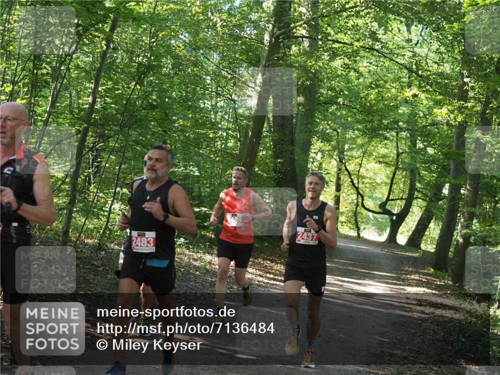 22.09.2024 - 32. Volkslauf durch das schöne Alstertal Miley Keyser http://msf.ph/oto/7136484 22.09.2024 10:39:19 Laufen 2483, 489, 2437 meine-sportfotos.de