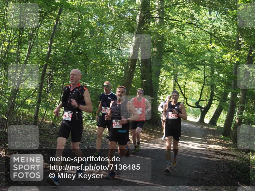 22.09.2024 - 32. Volkslauf durch das schöne Alstertal Miley Keyser http://msf.ph/oto/7136485 22.09.2024 10:39:18 Laufen 408, 2530, 2483, 489, 2437 meine-sportfotos.de