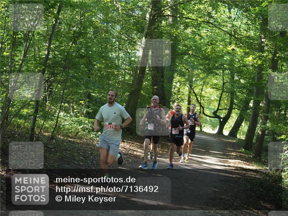 22.09.2024 - 32. Volkslauf durch das schöne Alstertal Miley Keyser http://msf.ph/oto/7136492 22.09.2024 10:39:17 Laufen 2103, 2478, 2483 meine-sportfotos.de