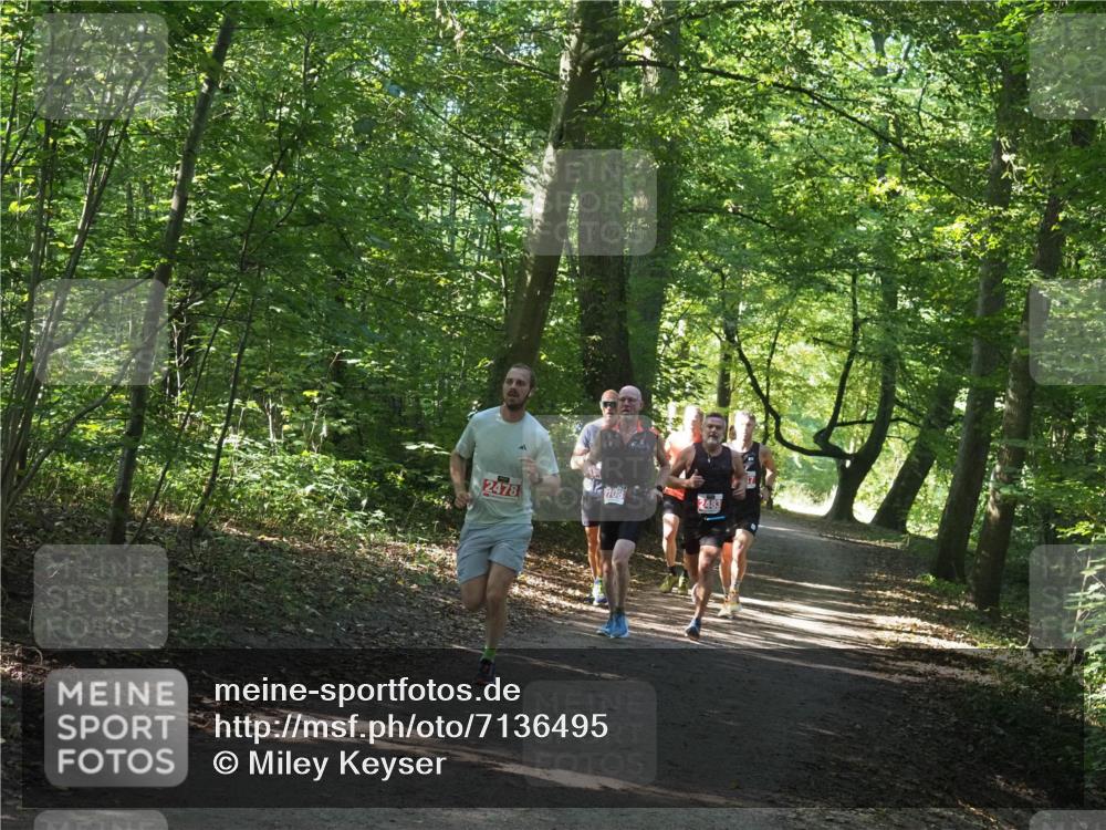 22.09.2024 - 32. Volkslauf durch das schöne Alstertal Miley Keyser http://msf.ph/oto/7136495 22.09.2024 10:39:16 Laufen 2478, 2483 meine-sportfotos.de