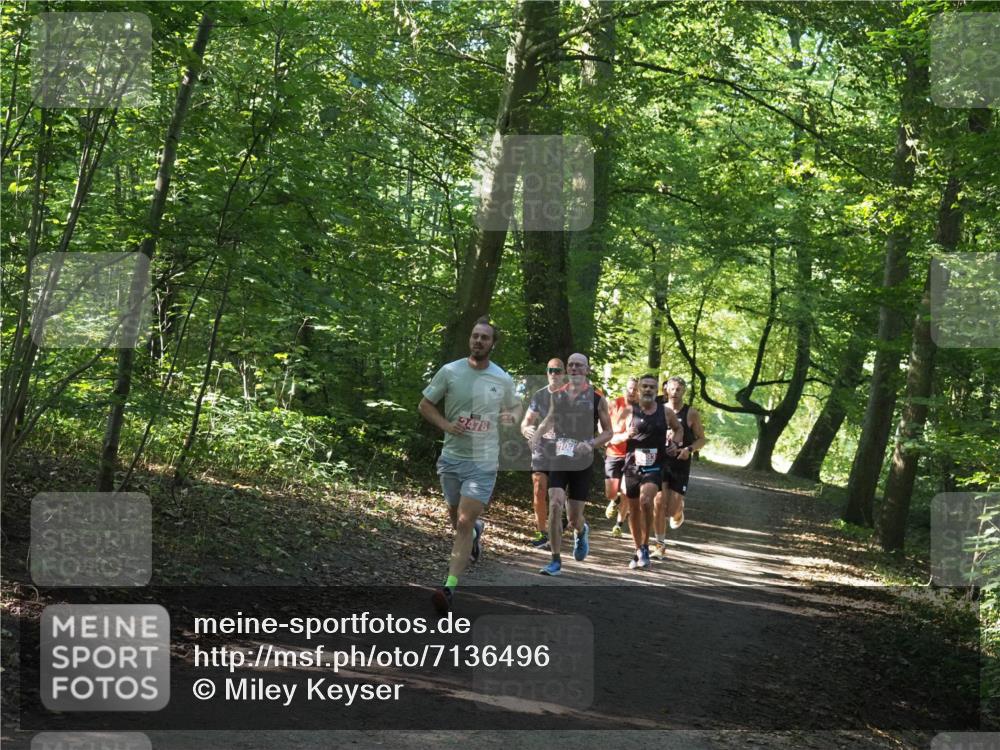 22.09.2024 - 32. Volkslauf durch das schöne Alstertal Miley Keyser http://msf.ph/oto/7136496 22.09.2024 10:39:16 Laufen 2478 meine-sportfotos.de
