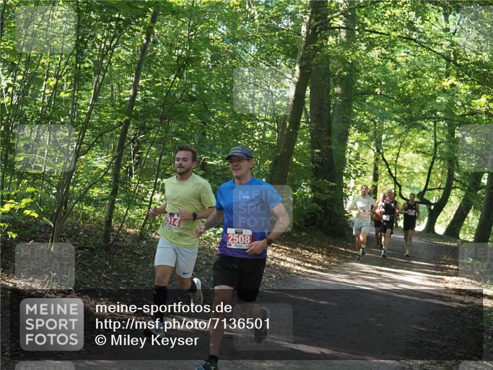 22.09.2024 - 32. Volkslauf durch das schöne Alstertal Miley Keyser http://msf.ph/oto/7136501 22.09.2024 10:39:14 Laufen 514, 2508 meine-sportfotos.de
