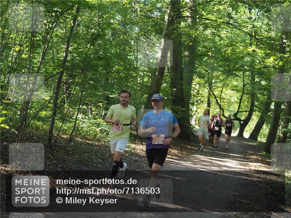 22.09.2024 - 32. Volkslauf durch das schöne Alstertal Miley Keyser http://msf.ph/oto/7136503 22.09.2024 10:39:13 Laufen 2514, 2508, 2478 meine-sportfotos.de