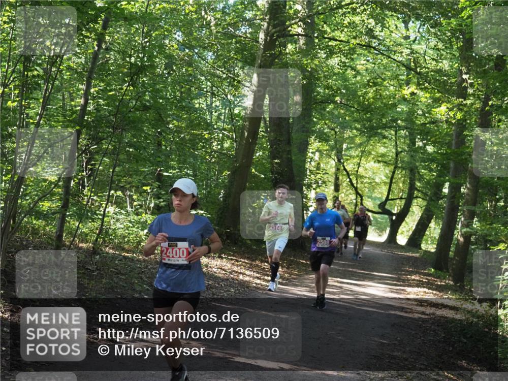 22.09.2024 - 32. Volkslauf durch das schöne Alstertal Miley Keyser http://msf.ph/oto/7136509 22.09.2024 10:39:12 Laufen 2400, 2514, 2508 meine-sportfotos.de