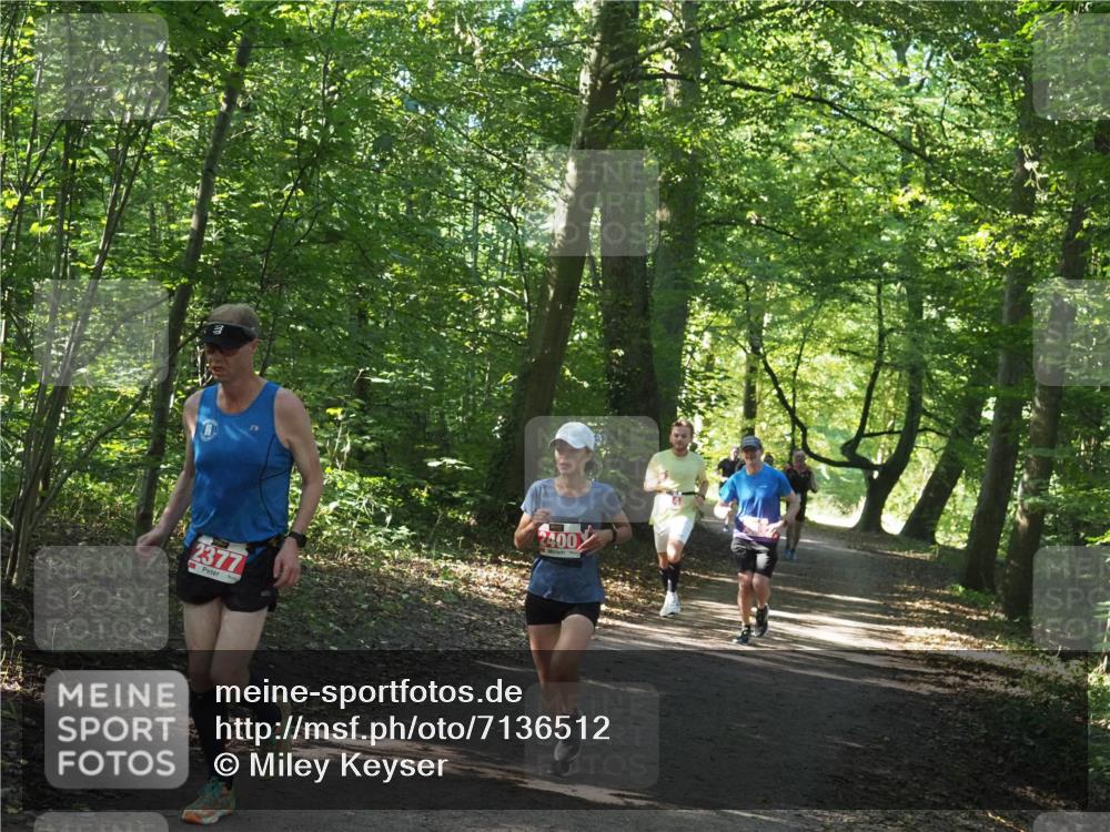 22.09.2024 - 32. Volkslauf durch das schöne Alstertal Miley Keyser http://msf.ph/oto/7136512 22.09.2024 10:39:11 Laufen 2377, 400 meine-sportfotos.de