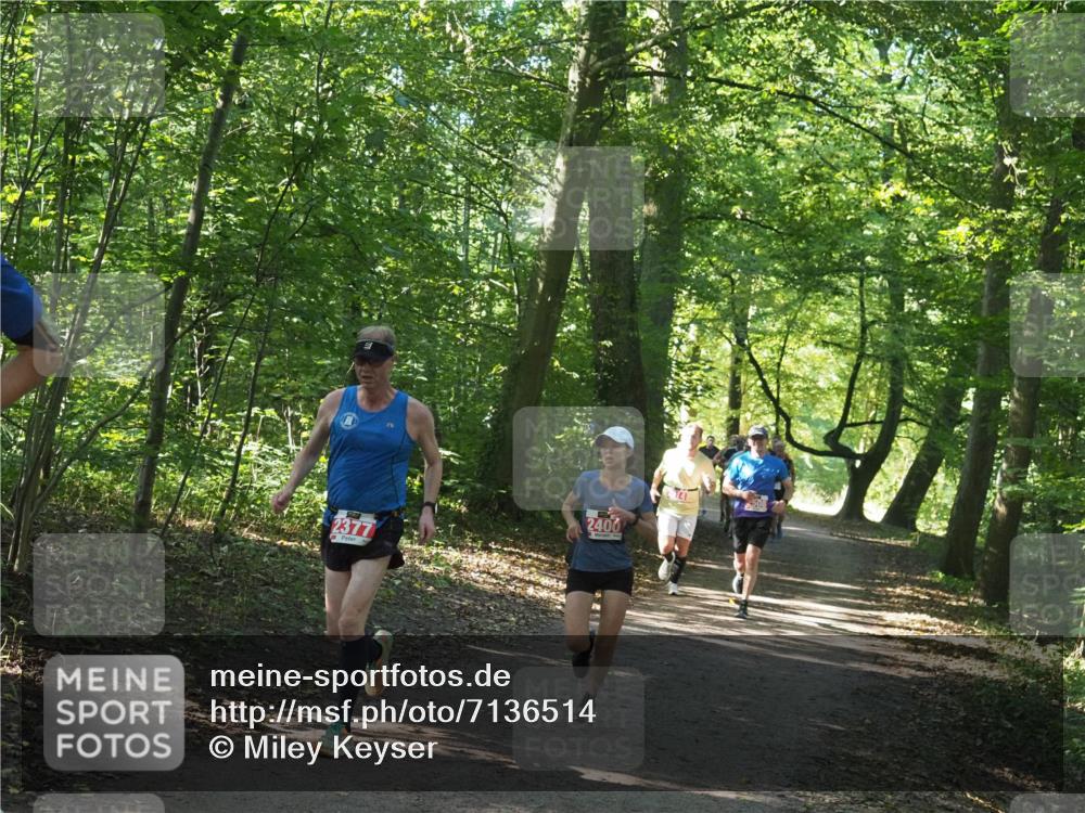 22.09.2024 - 32. Volkslauf durch das schöne Alstertal Miley Keyser http://msf.ph/oto/7136514 22.09.2024 10:39:11 Laufen 2377, 2400 meine-sportfotos.de