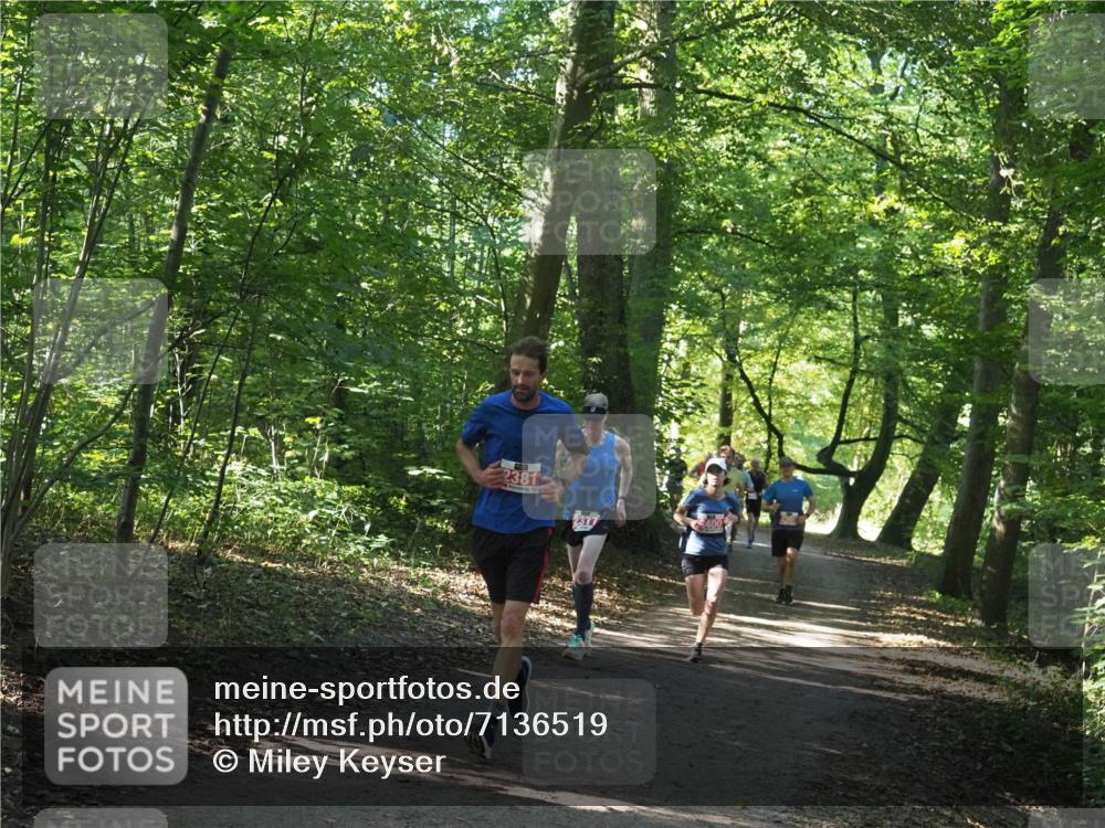 22.09.2024 - 32. Volkslauf durch das schöne Alstertal Miley Keyser http://msf.ph/oto/7136519 22.09.2024 10:39:09 Laufen 2381 meine-sportfotos.de