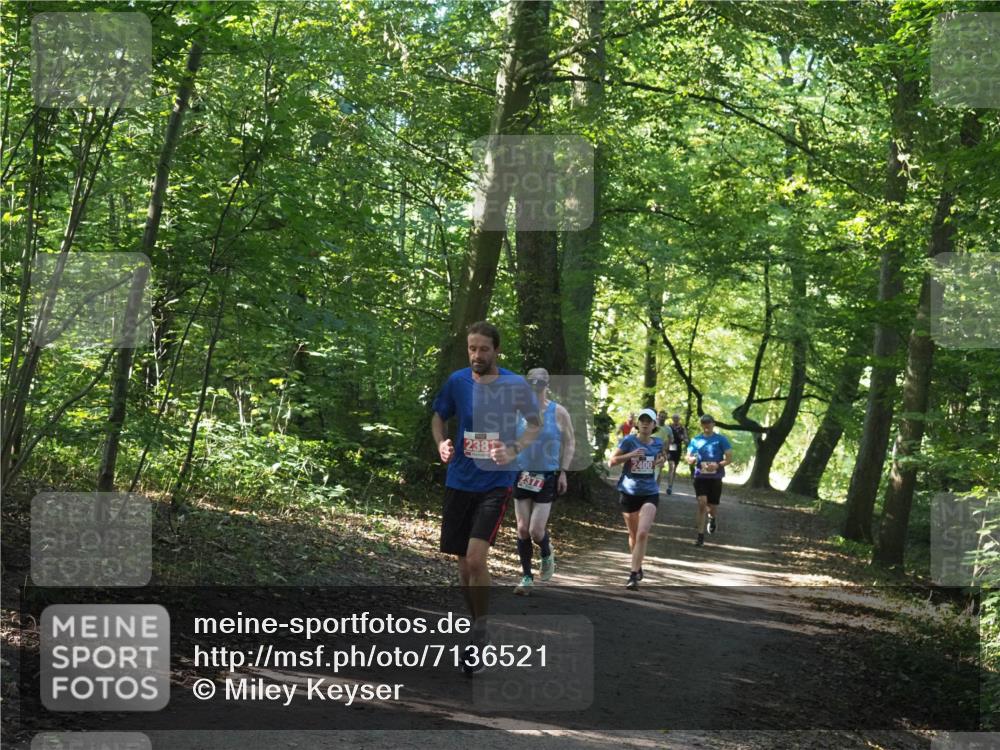 22.09.2024 - 32. Volkslauf durch das schöne Alstertal Miley Keyser http://msf.ph/oto/7136521 22.09.2024 10:39:09 Laufen 2381, 2400 meine-sportfotos.de