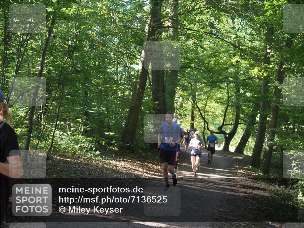22.09.2024 - 32. Volkslauf durch das schöne Alstertal Miley Keyser http://msf.ph/oto/7136525 22.09.2024 10:39:08 Laufen 2381 meine-sportfotos.de