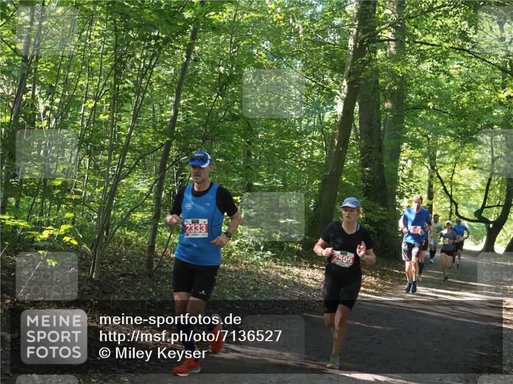 22.09.2024 - 32. Volkslauf durch das schöne Alstertal Miley Keyser http://msf.ph/oto/7136527 22.09.2024 10:39:07 Laufen 2333, 2505 meine-sportfotos.de