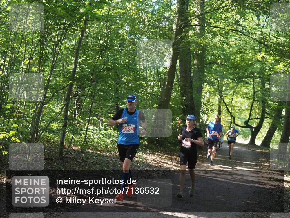 22.09.2024 - 32. Volkslauf durch das schöne Alstertal Miley Keyser http://msf.ph/oto/7136532 22.09.2024 10:39:06 Laufen 2333 meine-sportfotos.de