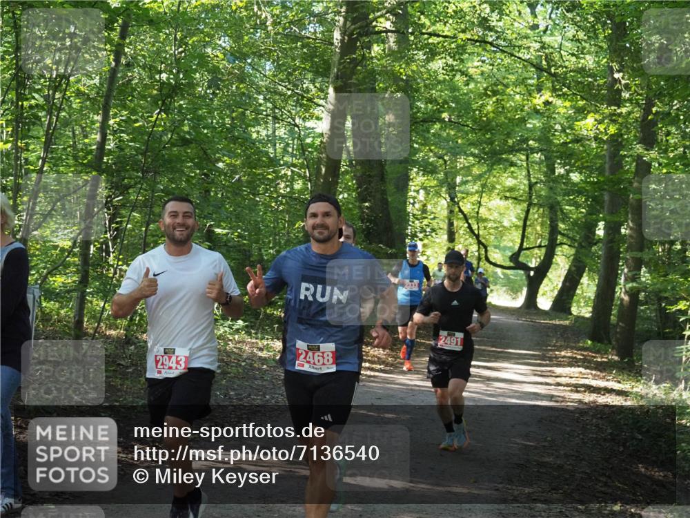22.09.2024 - 32. Volkslauf durch das schöne Alstertal Miley Keyser http://msf.ph/oto/7136540 22.09.2024 10:39:04 Laufen 2333, 2943, 2468, 2491 meine-sportfotos.de