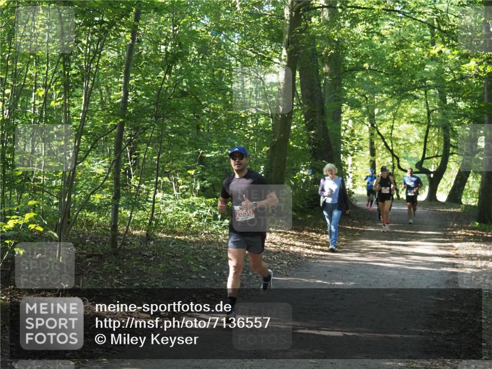 22.09.2024 - 32. Volkslauf durch das schöne Alstertal Miley Keyser http://msf.ph/oto/7136557 22.09.2024 10:38:57 Laufen 2050 meine-sportfotos.de