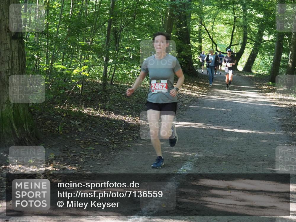 22.09.2024 - 32. Volkslauf durch das schöne Alstertal Miley Keyser http://msf.ph/oto/7136559 22.09.2024 10:38:54 Laufen 2462 meine-sportfotos.de