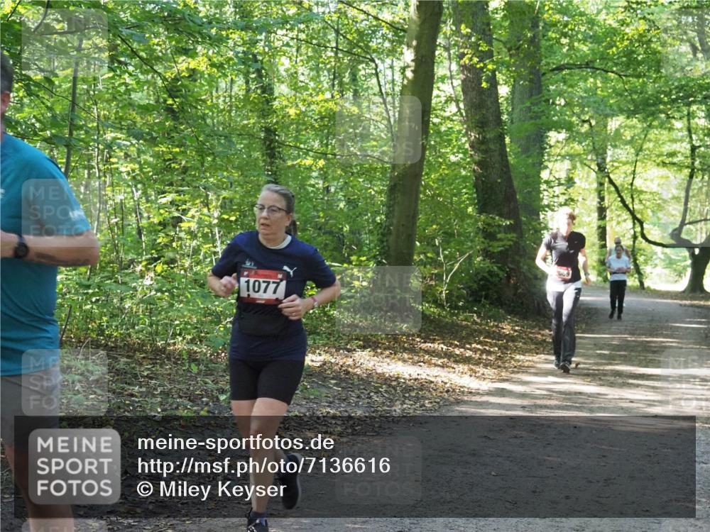 22.09.2024 - 32. Volkslauf durch das schöne Alstertal Miley Keyser http://msf.ph/oto/7136616 22.09.2024 10:28:54 Laufen 1077, 069 meine-sportfotos.de