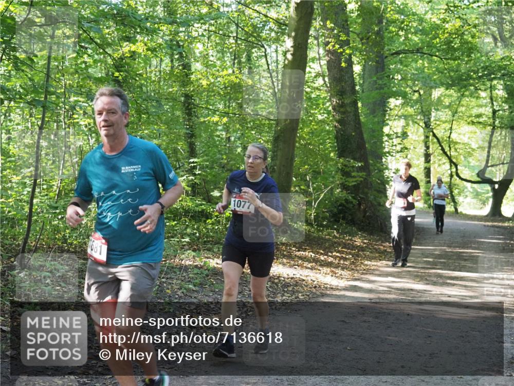 22.09.2024 - 32. Volkslauf durch das schöne Alstertal Miley Keyser http://msf.ph/oto/7136618 22.09.2024 10:28:54 Laufen 1681, 32, 1077 meine-sportfotos.de
