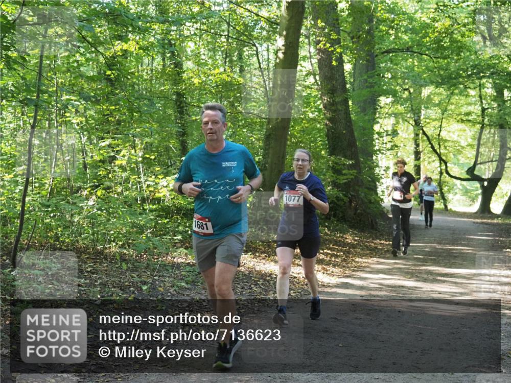 22.09.2024 - 32. Volkslauf durch das schöne Alstertal Miley Keyser http://msf.ph/oto/7136623 22.09.2024 10:28:53 Laufen 1681, 32, 1077 meine-sportfotos.de