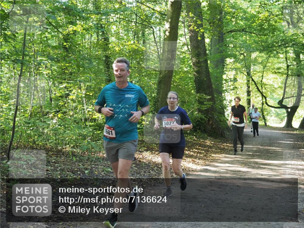 22.09.2024 - 32. Volkslauf durch das schöne Alstertal Miley Keyser http://msf.ph/oto/7136624 22.09.2024 10:28:53 Laufen 32, 1681, 1077, 1069 meine-sportfotos.de