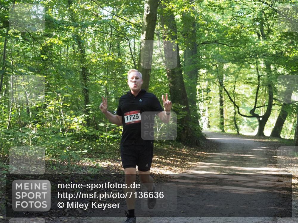 22.09.2024 - 32. Volkslauf durch das schöne Alstertal Miley Keyser http://msf.ph/oto/7136636 22.09.2024 10:28:23 Laufen 1725 meine-sportfotos.de