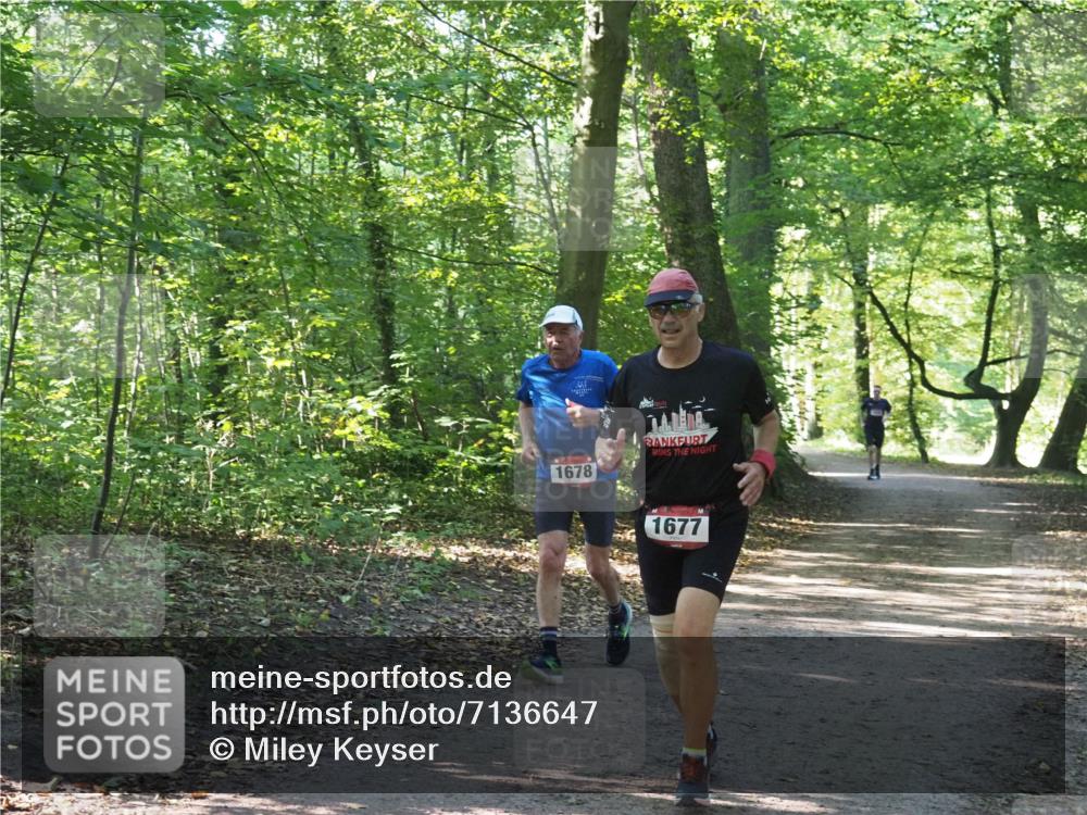 22.09.2024 - 32. Volkslauf durch das schöne Alstertal Miley Keyser http://msf.ph/oto/7136647 22.09.2024 10:27:45 Laufen 1678, 1677 meine-sportfotos.de