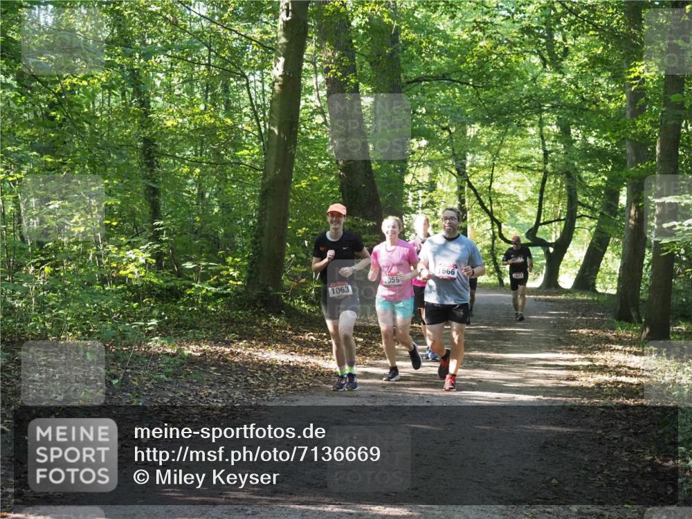 22.09.2024 - 32. Volkslauf durch das schöne Alstertal Miley Keyser http://msf.ph/oto/7136669 22.09.2024 10:27:38 Laufen 1666, 1059, 1677, 1063 meine-sportfotos.de