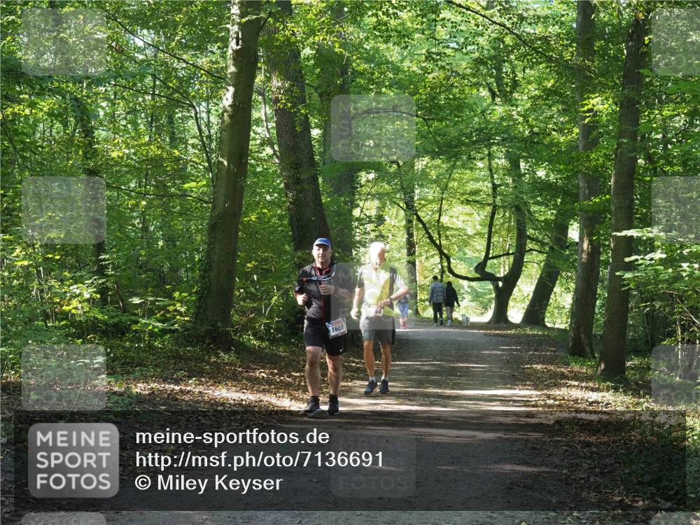22.09.2024 - 32. Volkslauf durch das schöne Alstertal Miley Keyser http://msf.ph/oto/7136691 22.09.2024 10:27:20 Laufen 1669 meine-sportfotos.de