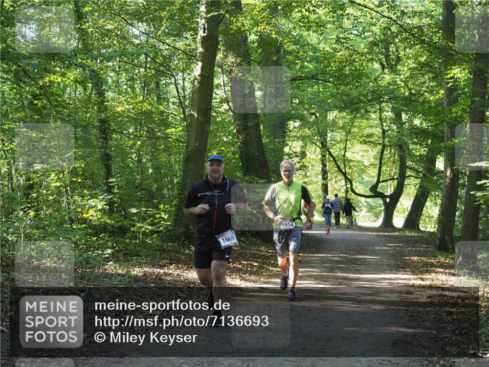 22.09.2024 - 32. Volkslauf durch das schöne Alstertal Miley Keyser http://msf.ph/oto/7136693 22.09.2024 10:27:21 Laufen 1669, 1654 meine-sportfotos.de