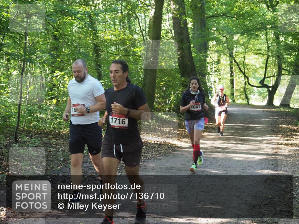22.09.2024 - 32. Volkslauf durch das schöne Alstertal Miley Keyser http://msf.ph/oto/7136710 22.09.2024 10:26:36 Laufen 16, 1716, 1041 meine-sportfotos.de