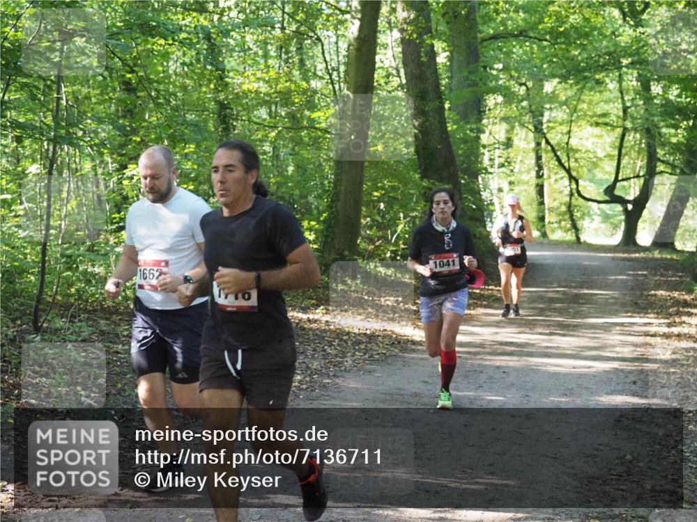 22.09.2024 - 32. Volkslauf durch das schöne Alstertal Miley Keyser http://msf.ph/oto/7136711 22.09.2024 10:26:36 Laufen 1662, 1041 meine-sportfotos.de