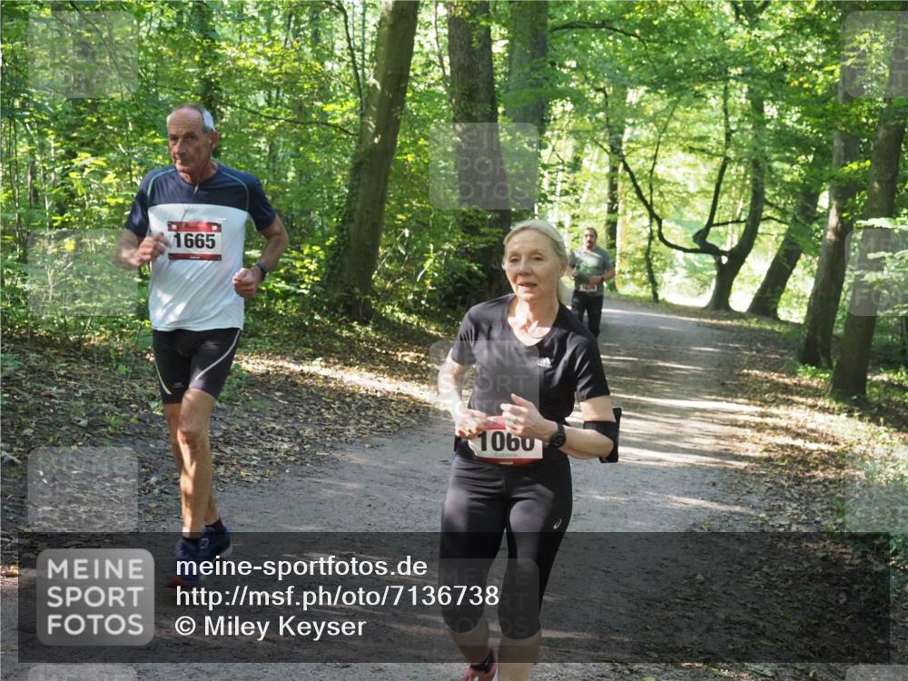 22.09.2024 - 32. Volkslauf durch das schöne Alstertal Miley Keyser http://msf.ph/oto/7136738 22.09.2024 10:26:08 Laufen 1665, 1060, 1679 meine-sportfotos.de