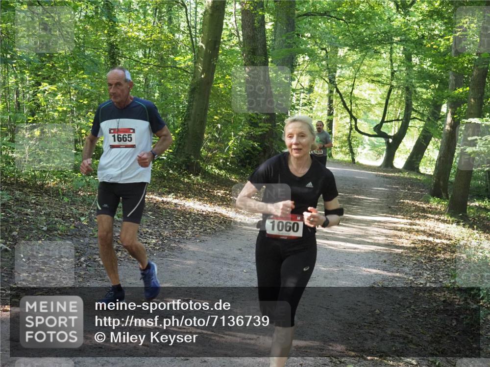22.09.2024 - 32. Volkslauf durch das schöne Alstertal Miley Keyser http://msf.ph/oto/7136739 22.09.2024 10:26:07 Laufen 1665, 1060, 1679 meine-sportfotos.de