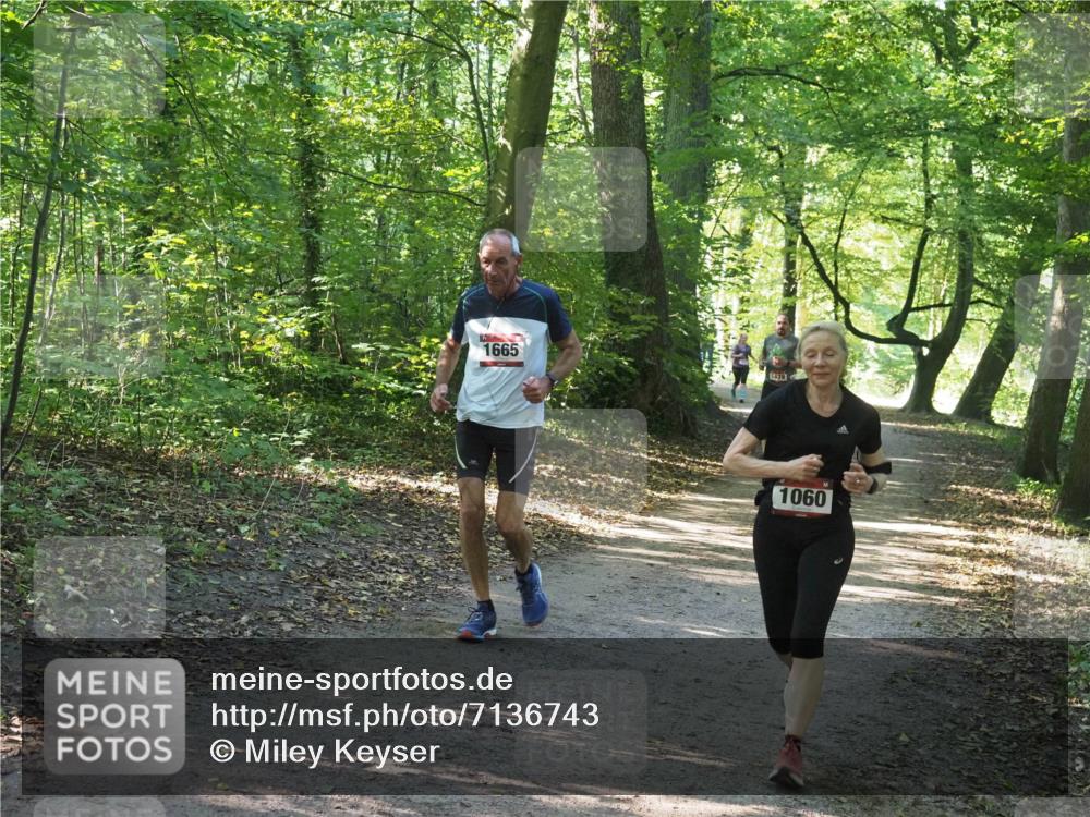 22.09.2024 - 32. Volkslauf durch das schöne Alstertal Miley Keyser http://msf.ph/oto/7136743 22.09.2024 10:26:07 Laufen 1665, 1579, 1060 meine-sportfotos.de