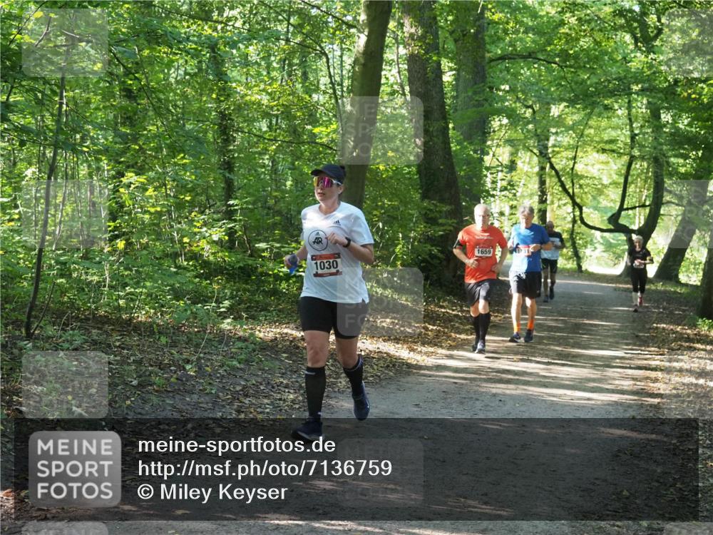 22.09.2024 - 32. Volkslauf durch das schöne Alstertal Miley Keyser http://msf.ph/oto/7136759 22.09.2024 10:25:59 Laufen 1659, 1030 meine-sportfotos.de
