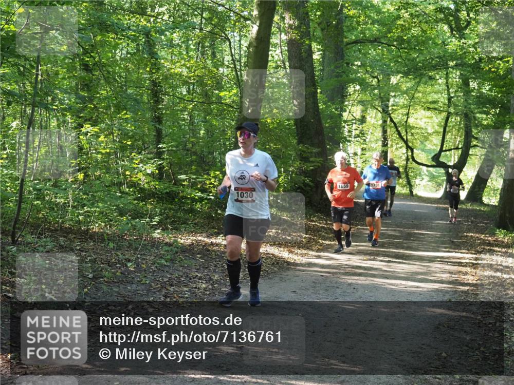 22.09.2024 - 32. Volkslauf durch das schöne Alstertal Miley Keyser http://msf.ph/oto/7136761 22.09.2024 10:25:59 Laufen 1659, 1731, 1030 meine-sportfotos.de