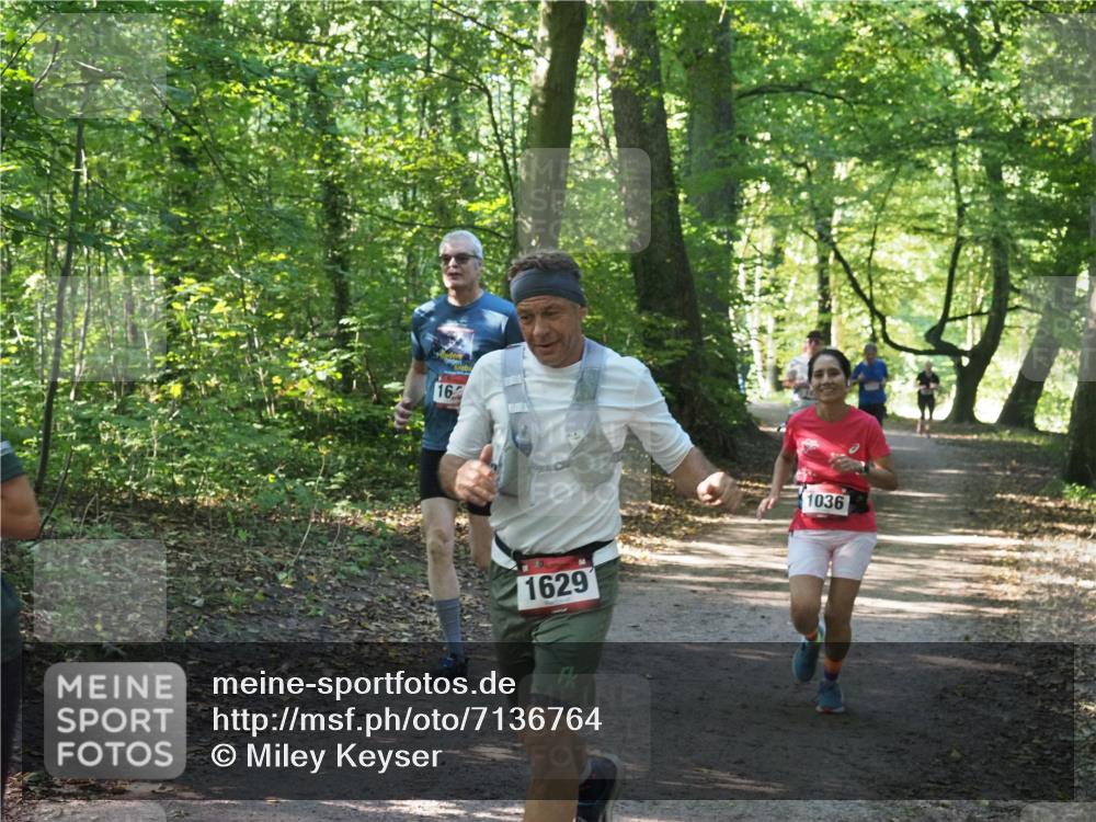 22.09.2024 - 32. Volkslauf durch das schöne Alstertal Miley Keyser http://msf.ph/oto/7136764 22.09.2024 10:25:54 Laufen 16, 1629, 1036 meine-sportfotos.de