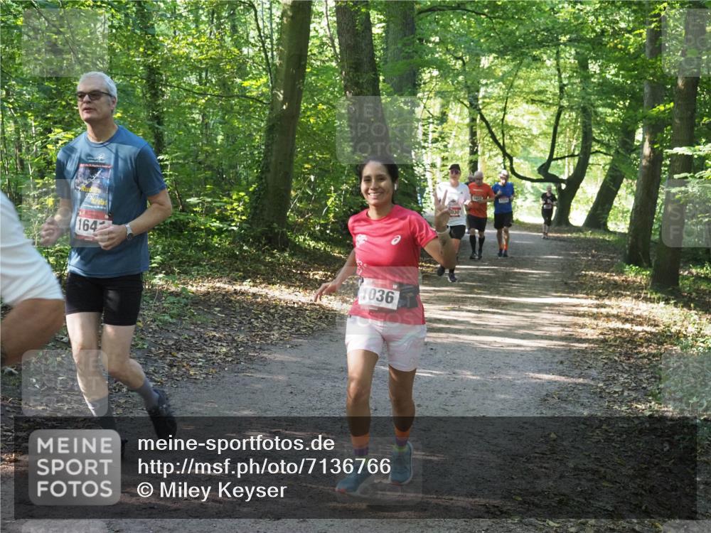 22.09.2024 - 32. Volkslauf durch das schöne Alstertal Miley Keyser http://msf.ph/oto/7136766 22.09.2024 10:25:55 Laufen 164, 1036, 1730, 030 meine-sportfotos.de
