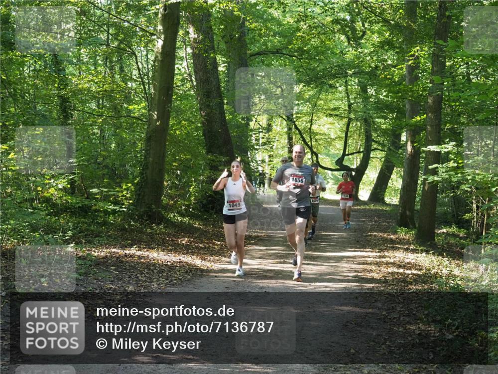 22.09.2024 - 32. Volkslauf durch das schöne Alstertal Miley Keyser http://msf.ph/oto/7136787 22.09.2024 10:25:49 Laufen 1049, 1656, 1629, 1036 meine-sportfotos.de