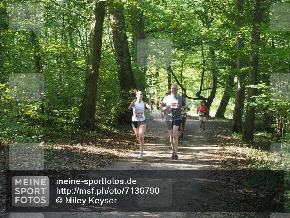 22.09.2024 - 32. Volkslauf durch das schöne Alstertal Miley Keyser http://msf.ph/oto/7136790 22.09.2024 10:25:49 Laufen 1049, 1656, 1629, 1036 meine-sportfotos.de