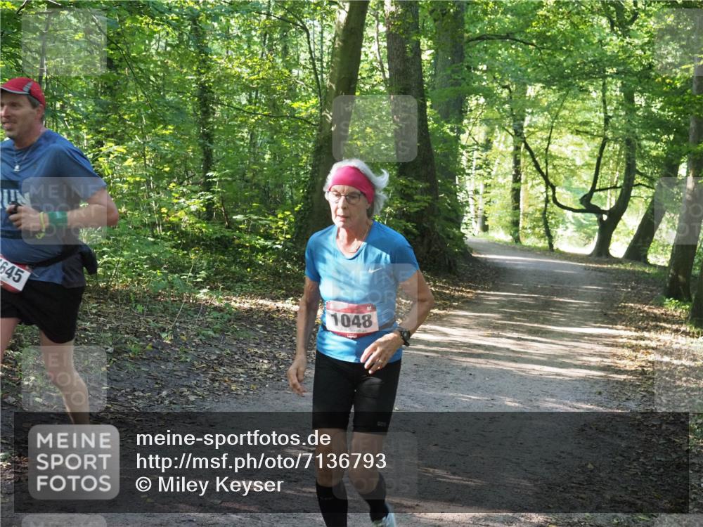 22.09.2024 - 32. Volkslauf durch das schöne Alstertal Miley Keyser http://msf.ph/oto/7136793 22.09.2024 10:25:30 Laufen 645, 1048 meine-sportfotos.de