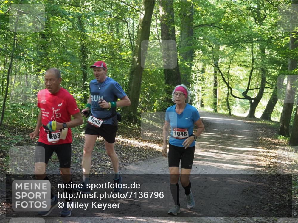 22.09.2024 - 32. Volkslauf durch das schöne Alstertal Miley Keyser http://msf.ph/oto/7136796 22.09.2024 10:25:30 Laufen 663, 1048, 1645 meine-sportfotos.de