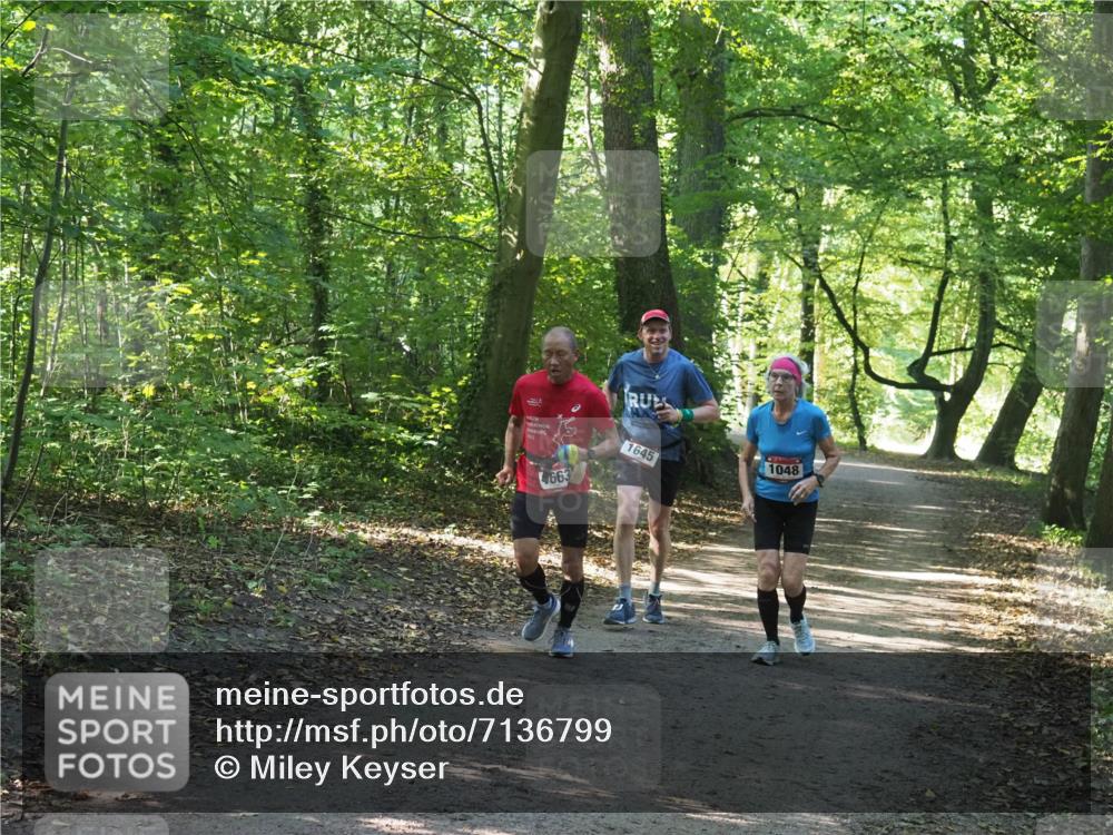 22.09.2024 - 32. Volkslauf durch das schöne Alstertal Miley Keyser http://msf.ph/oto/7136799 22.09.2024 10:25:28 Laufen 663, 1645, 1048 meine-sportfotos.de