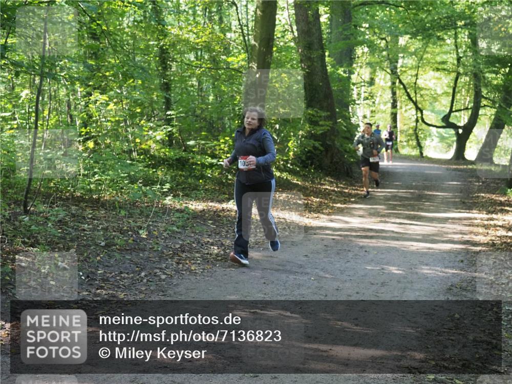 22.09.2024 - 32. Volkslauf durch das schöne Alstertal Miley Keyser http://msf.ph/oto/7136823 22.09.2024 10:25:15 Laufen 105, 16705 meine-sportfotos.de